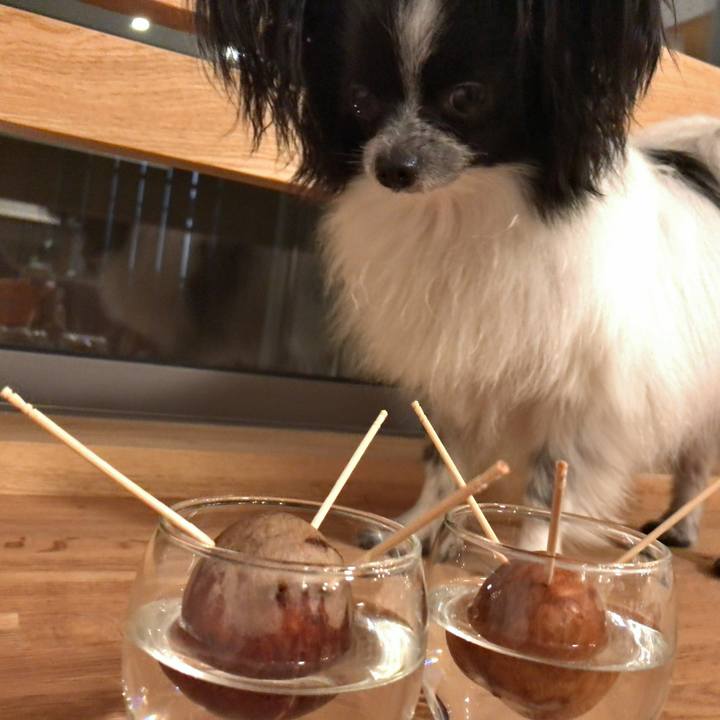 8ce811c5 c91b 46aa 8086 6166b419c7a1