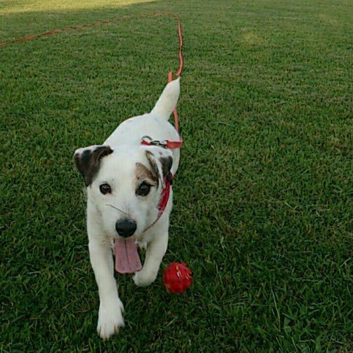 8ce96d5f 2c41 418d a59f 1d654422d1fa