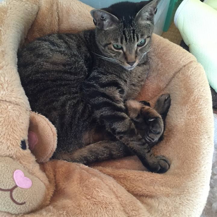 8ce981e1 f99f 4c2b bfeb 2eb99502798a