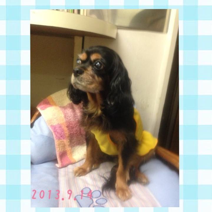 8ce98f10 09f6 4f3c 8b15 c5dd7ecc258e