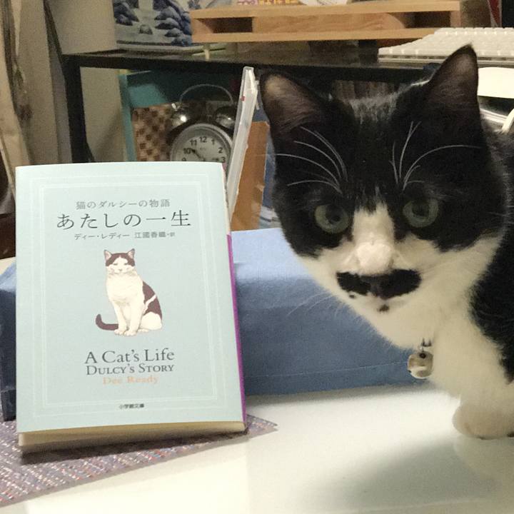 8cea01cd 5c30 46de b798 9ac63f995c11