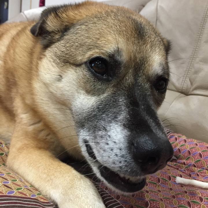 8cea08c4 27e4 4181 aac1 0246ef901844