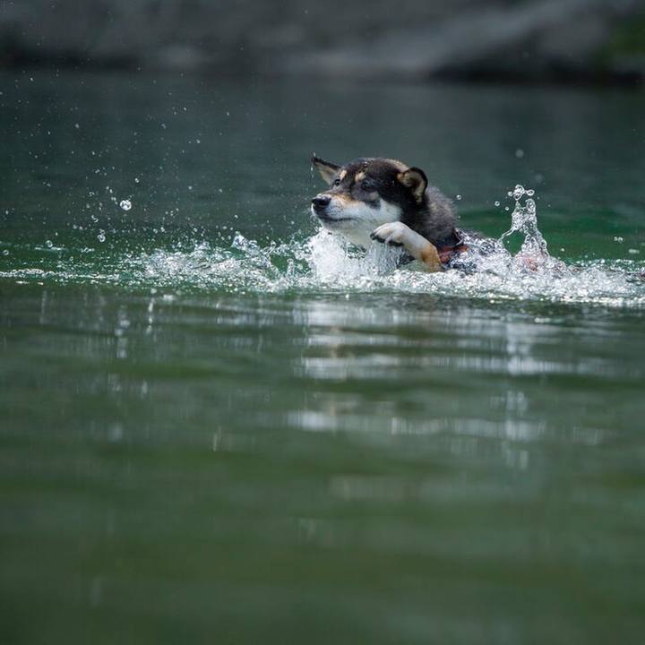 8cea42aa c66d 4776 bfd3 530d830e15b2