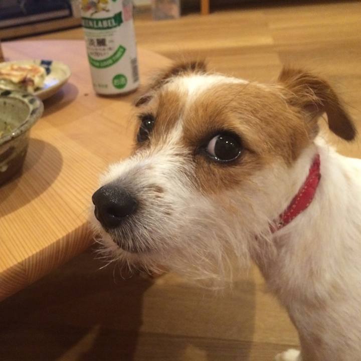 8cea4b11 76d6 462e bb86 3e7d18c36d1f