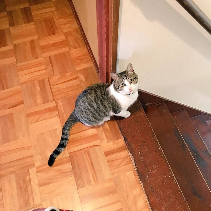 8ceacbeb 9ba0 4205 ada4 2d31fc89c464