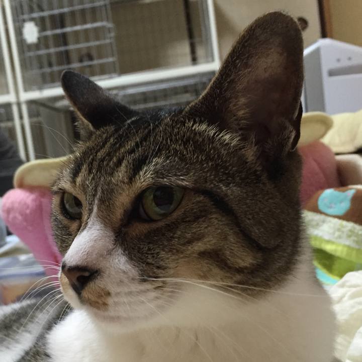 8ceae79f 9022 4998 af27 86342328c856