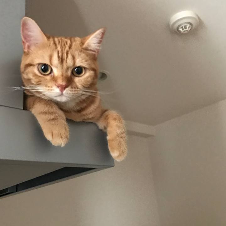 8ceaf3f4 78ac 4f33 9e06 74b3ee7cebed