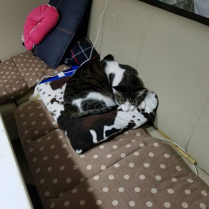 8ceb041e e71f 4a6d 9348 328175a2c7ae