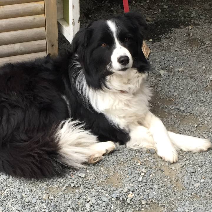 8ceb3970 823f 4797 b5c3 900b50086aa6