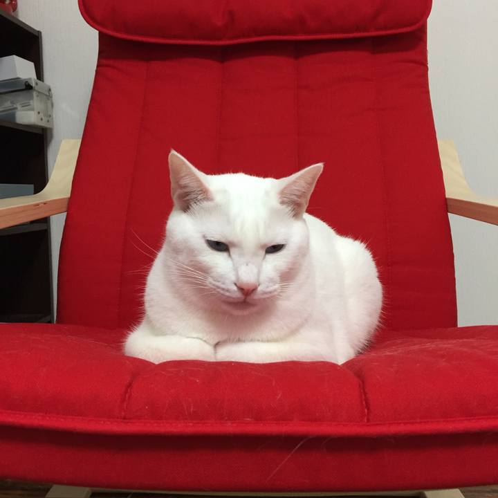 8ceb916d 6ddc 4172 a19f e6eea93652fa