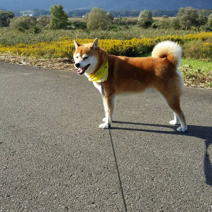 8cec3a74 a302 4611 9c66 c8f6f840a286