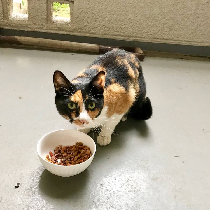 8cec68f3 c871 432d afe9 5bca6a8dcbea