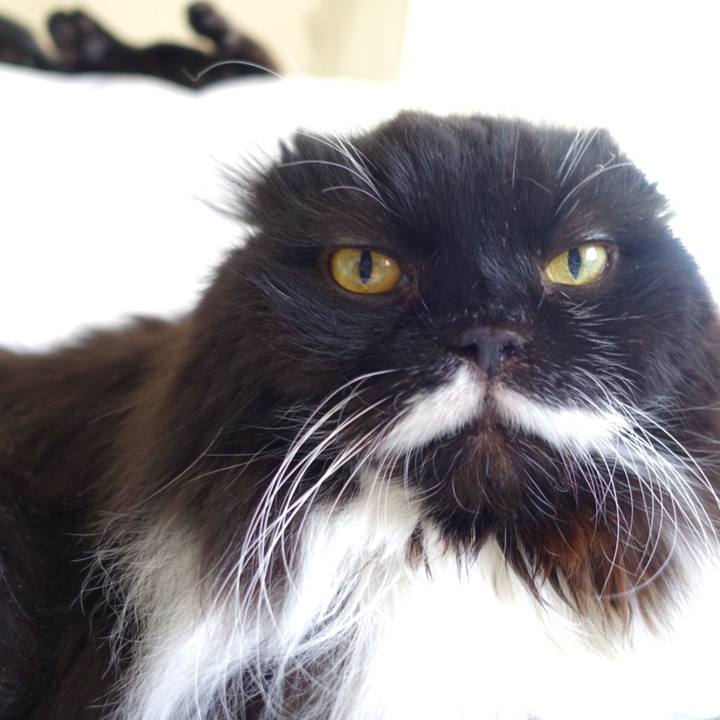 8cec70fa 4040 4698 9635 793192ed8911