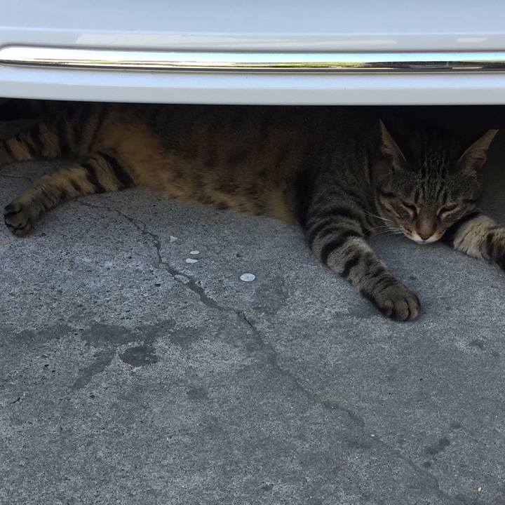 8cecac70 6837 4210 b4d1 9ea713200daa