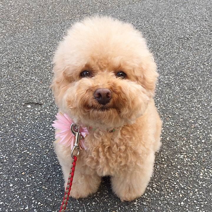 8cecb710 ab2a 4aaa 979b 7d1e8c97ddb8