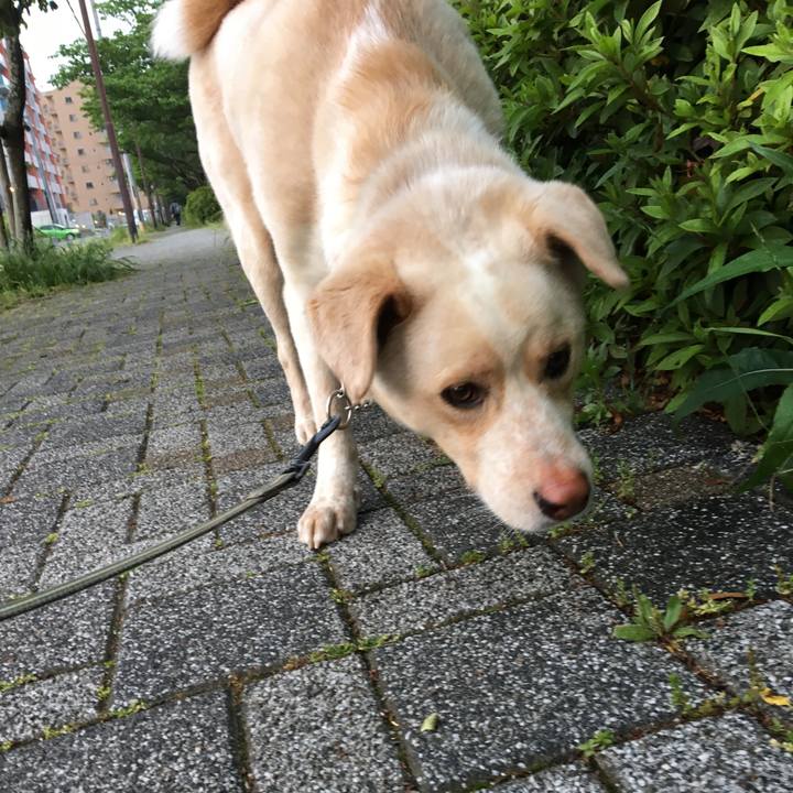 8ced4034 b5a1 4576 84a4 c1d0e3a04d1a