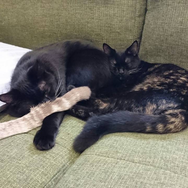 8cef278c 2d1b 426f abce 08cee104da5a