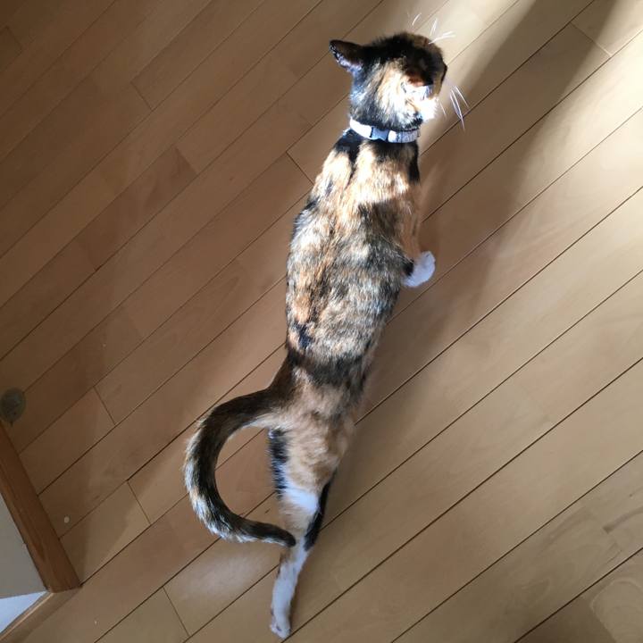 8cef8ec5 de64 4448 8a6b f196282b9737