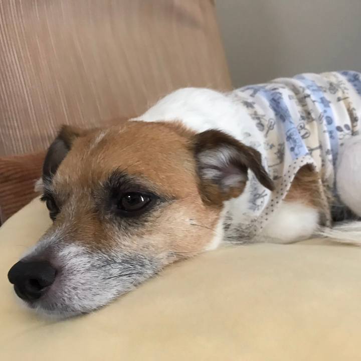 8cefe418 16da 4013 80cf 93598ebeb4bb