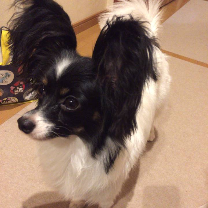 8cf01664 ebd6 431c a344 a7c3ae27cba2