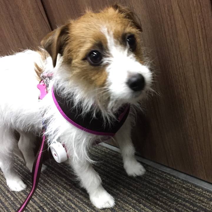 8cf01fbe 1ed7 4052 929d 371193d117b9