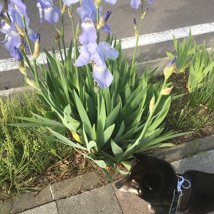 8cf0ba9e 259a 4023 92d9 e4c1384dfa3e