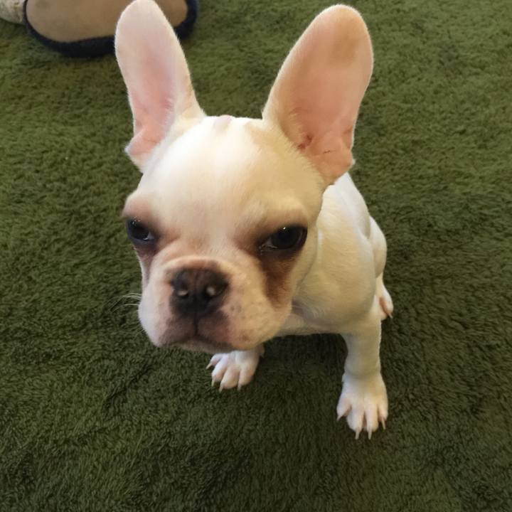 8cf0bf6b ec80 4fc3 8d61 843669c0949b