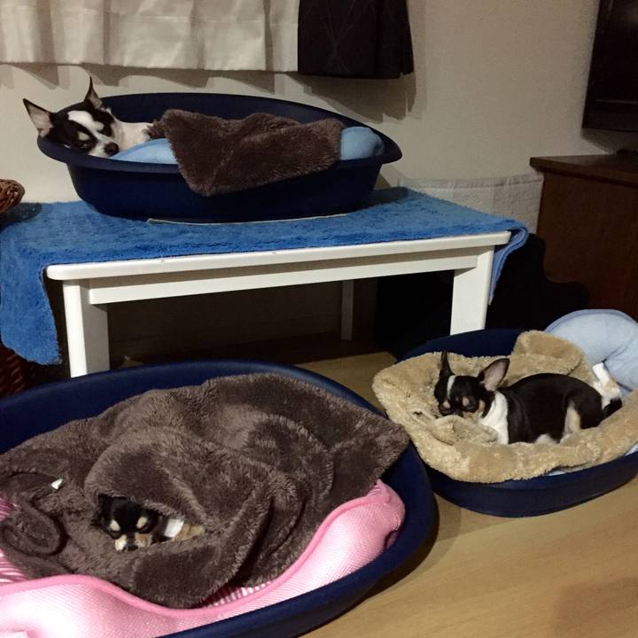 8cf12060 4475 4c3d bba9 cad573f9970d