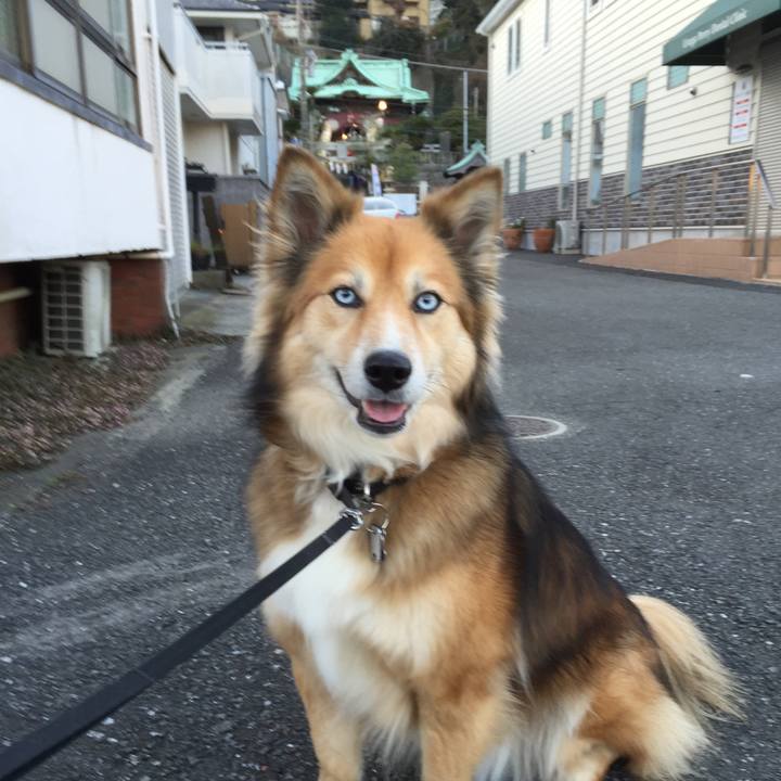 8cf1964c 4b0b 44a4 b0d8 ca94aa03a927