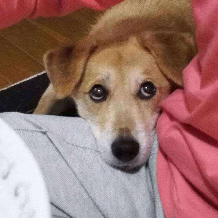 8cf1d228 9975 4b4a a7d4 ca04c30adf42