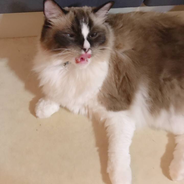 8cf1dced 1dfe 4d3e 8dfc 158a1d7ae22d