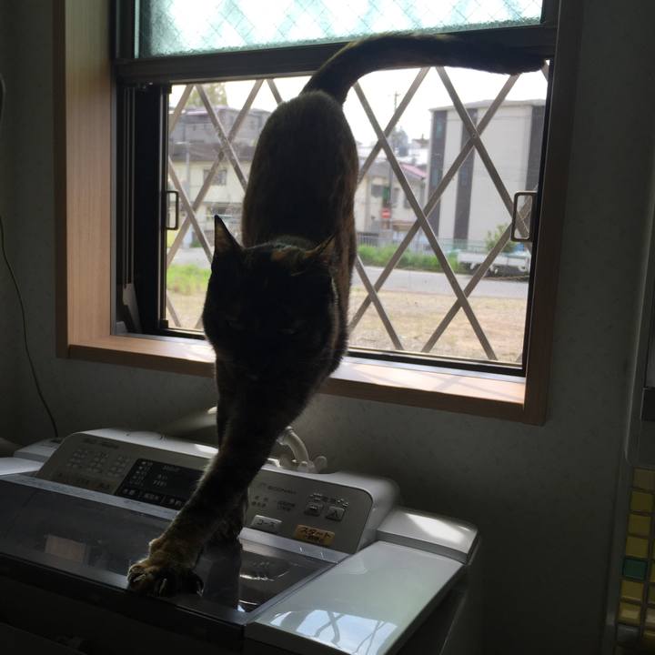 8cf20840 e1a5 4c95 9112 964065e832c8