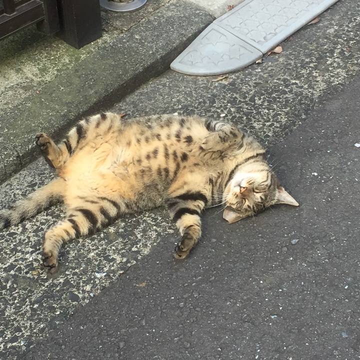 8cf2410b 64ef 46b0 bdec 4ab8c89e8b03