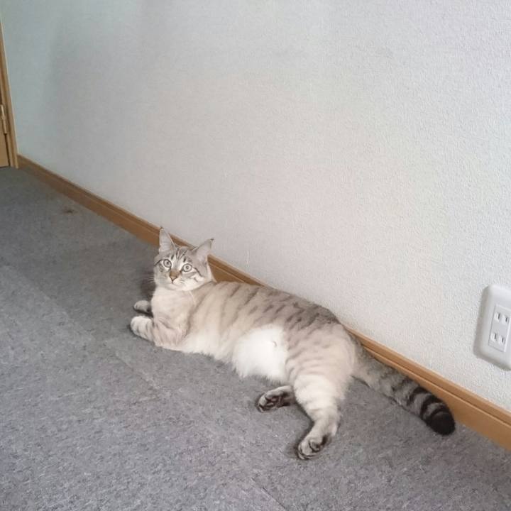 8cf31722 2d93 44e7 94d6 1c2fa3a37ee4