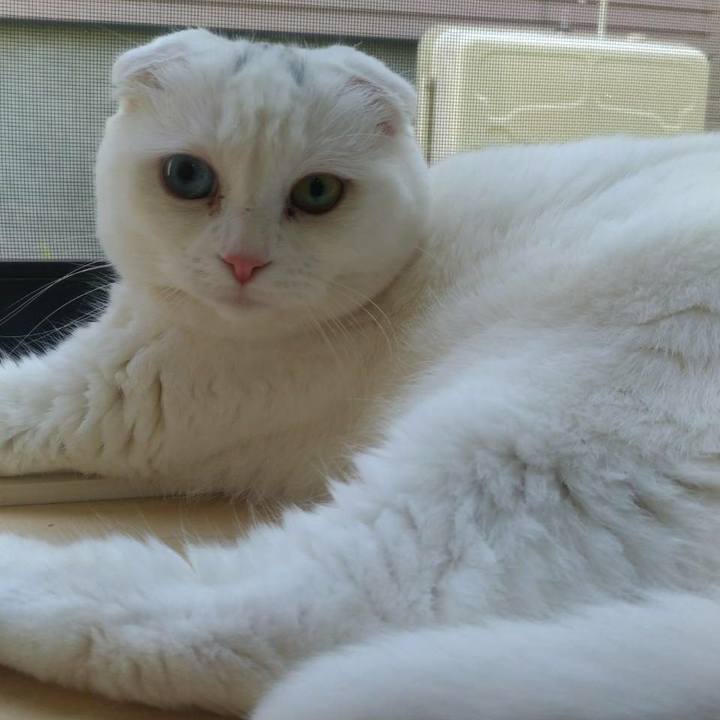 8cf43390 e390 430e 96f1 c98945d34451