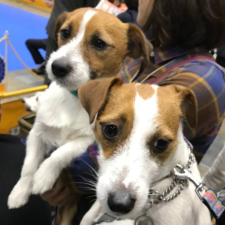 8cf48770 eac1 42bd b666 0ce4e7f6a0de