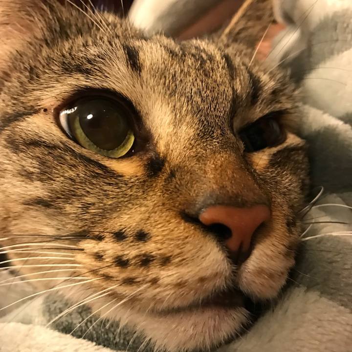 8cf52f91 22a1 4b49 8c3a eeecbbdb3259