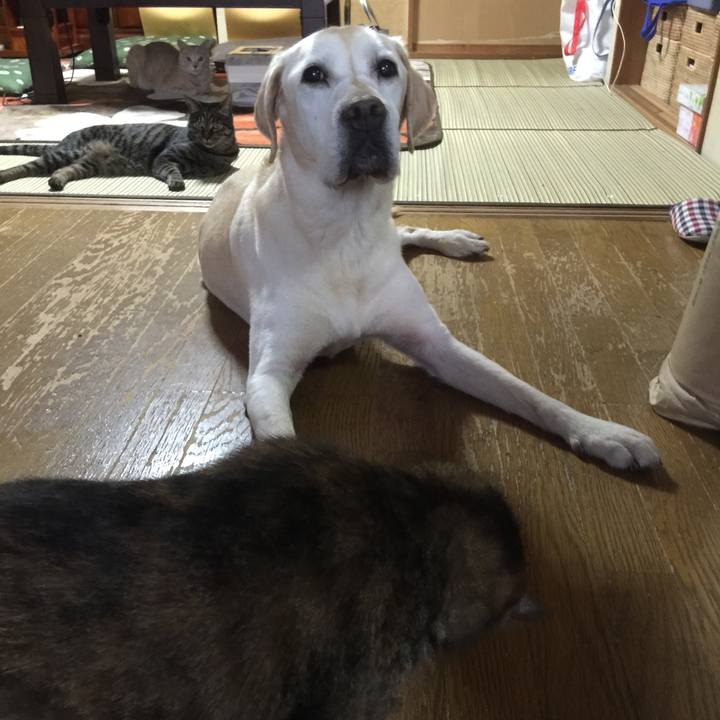 8cf5ed0d 3195 4630 9df5 9e58d8f7adbe