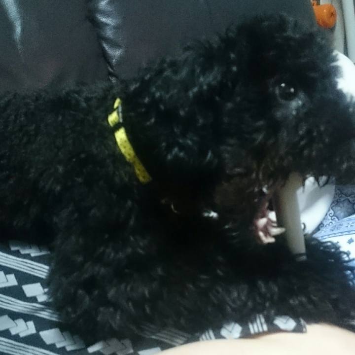 8cf68697 7281 49d9 8838 36207d2b51a9