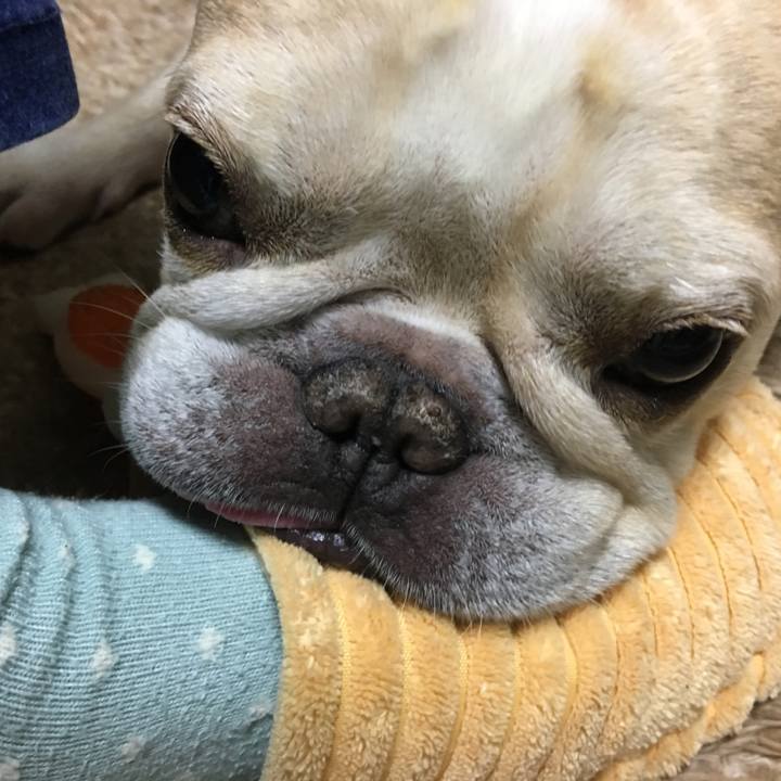 8cf6c5d0 88b8 4442 9f75 ef7b929ab020