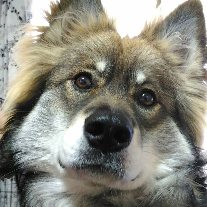 8cf73253 44d5 4157 9037 23642d2b611e