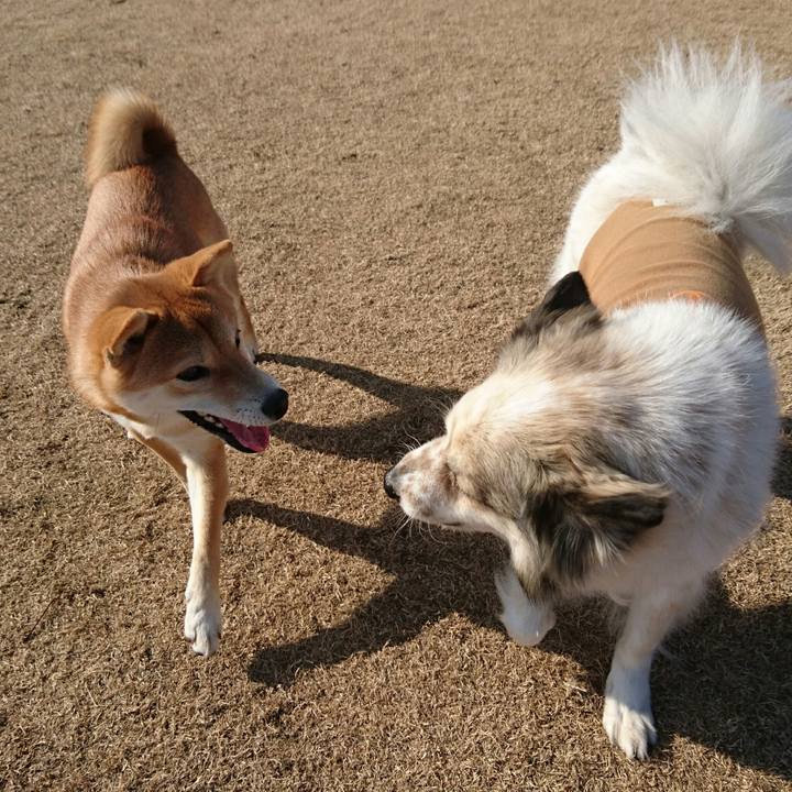 8cf78ce9 f28b 43a0 a1cb 58fe6beda13b