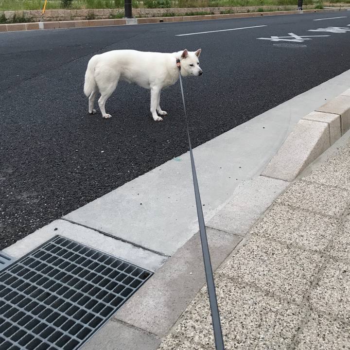 8cf7d2f8 c403 4743 ad21 afa64f5508b7