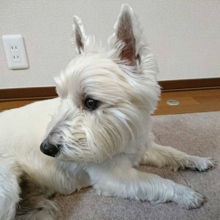 8cf8148c 7902 4b69 8d62 e55214b57cb7