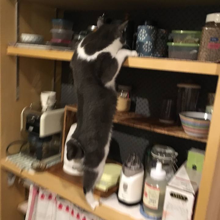 8cf81ecd 04c0 48d8 8d92 879cac5af917