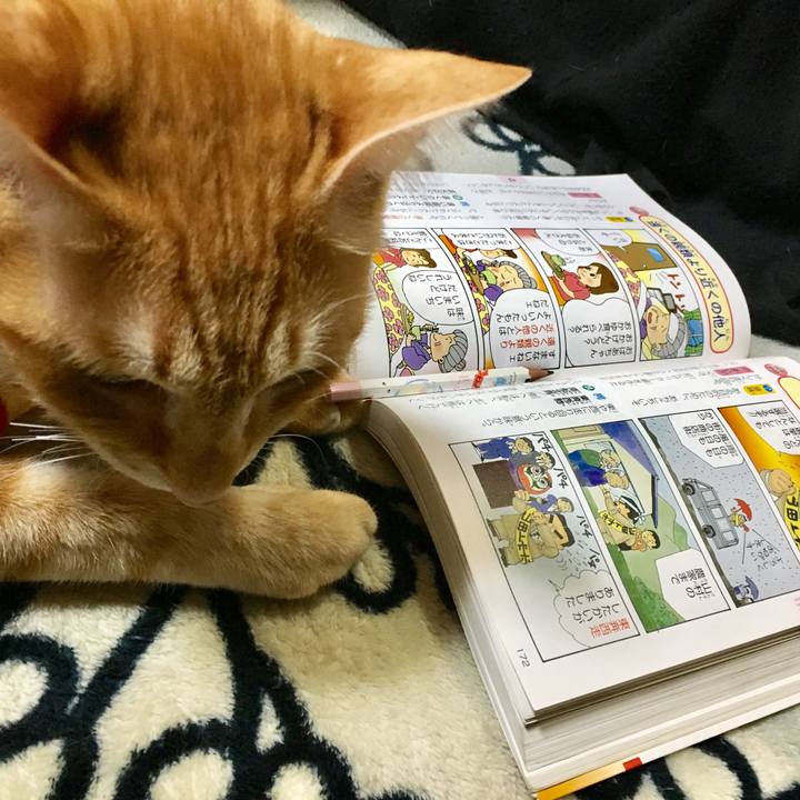 8cf8a86a 17dd 46b7 a373 52c6b51c5174