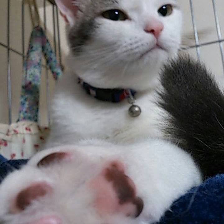 8cf8d2bb a054 4f18 91bf 8671d2ae6b19