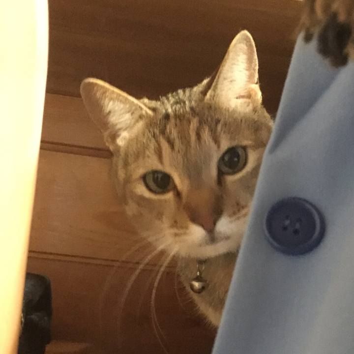 8cf8e9a2 c4a1 4908 ba65 f71e985d513b