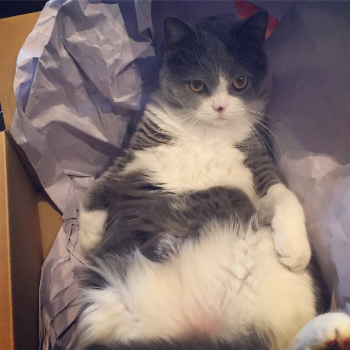 8cf9d5f3 793a 4a3e 91cb cea1bf563df9