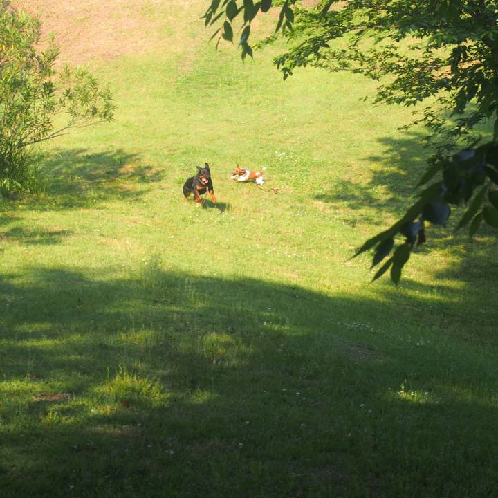 8cfab3e7 346c 40fe 9e45 44d5af858a0e